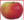 FeWo "Apfel" mit Garten